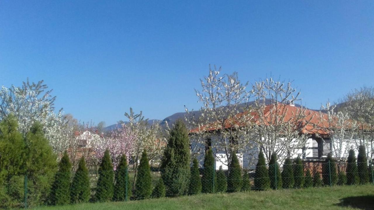 House Milovanovic โซโคบานยา ภายนอก รูปภาพ