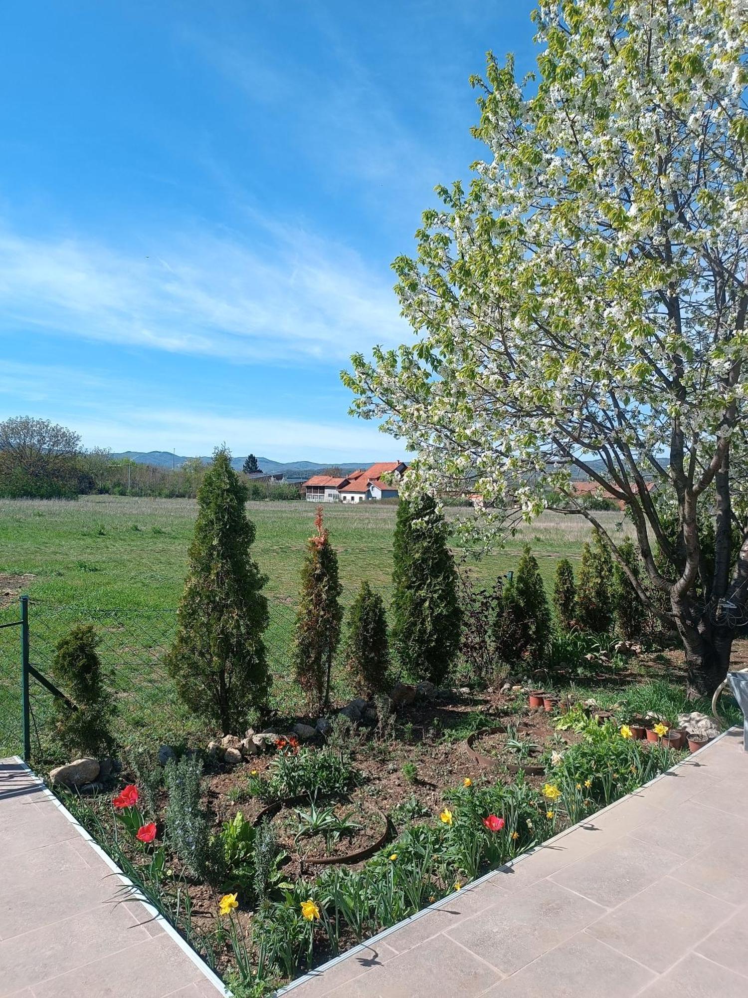 House Milovanovic โซโคบานยา ภายนอก รูปภาพ